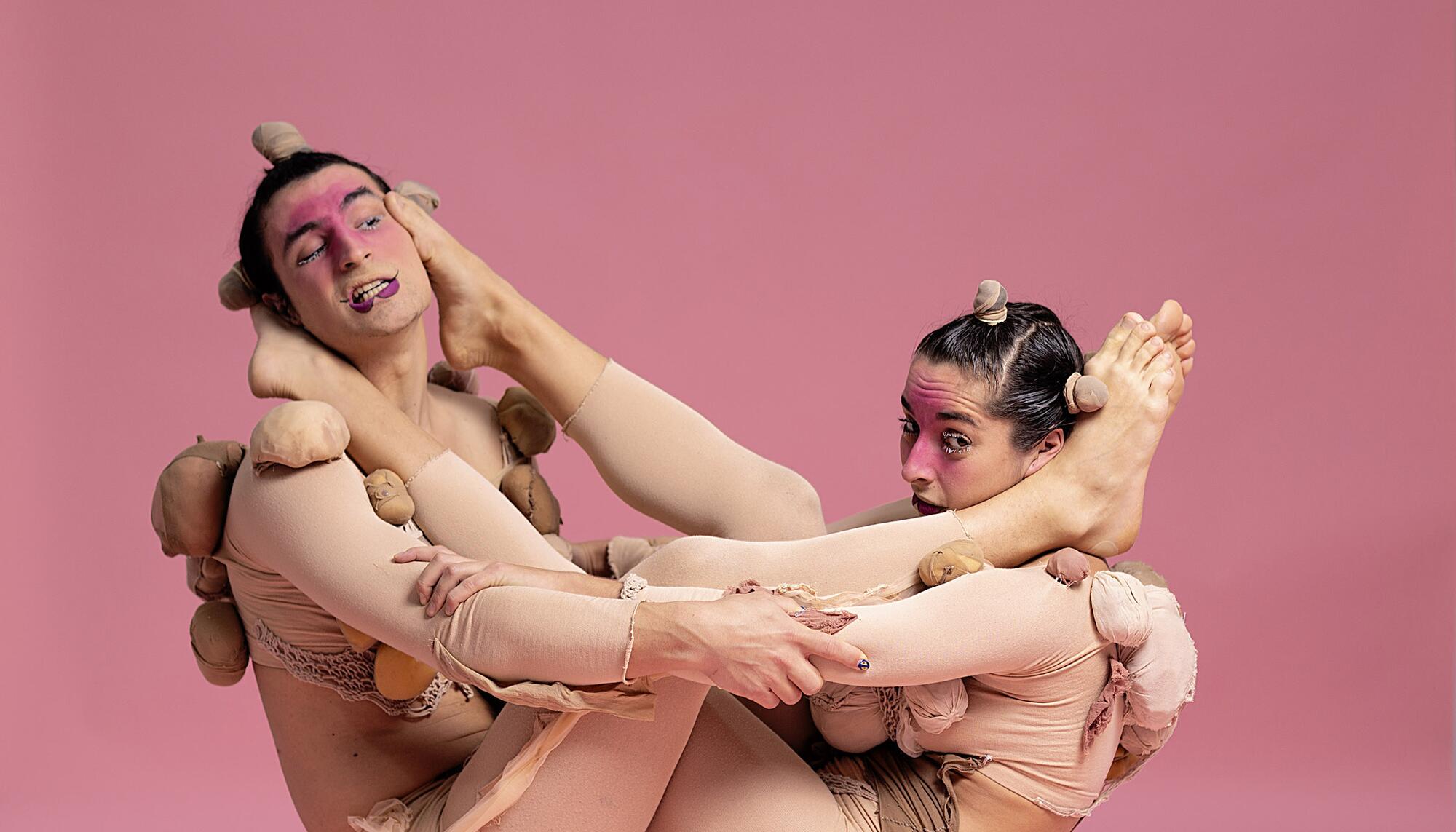 La compañía Disidencia en su pieza Bipedestrucción - 1